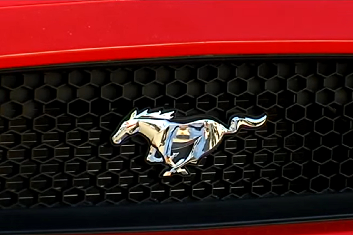 Video Mustang Party